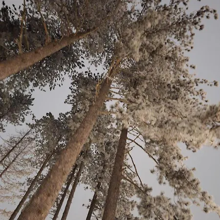 Apartamento Leo Titova Zlatibor