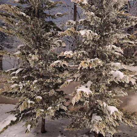 Leo Titova 아파트 즐라티보