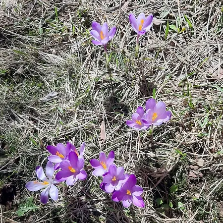Apartamento Leo Titova Zlatibor