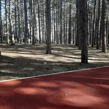 Leo Titova * Zlatibor