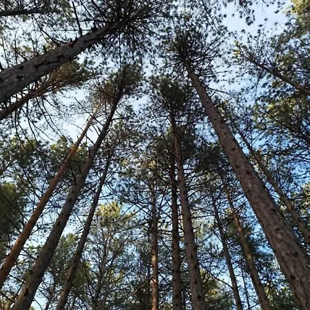 Leo Titova Apartamento *