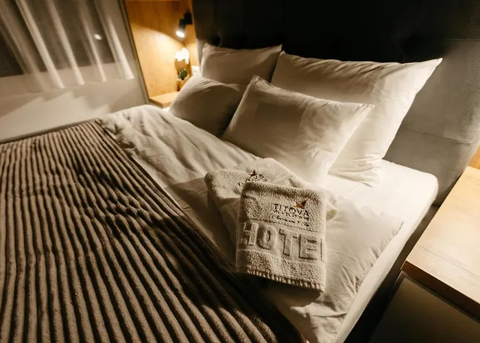 アパート Leo Titova ズラティボール