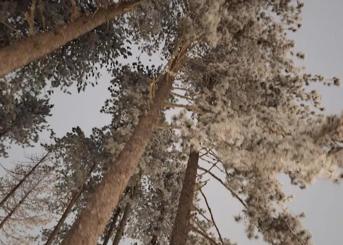 アパート Leo Titova ズラティボール