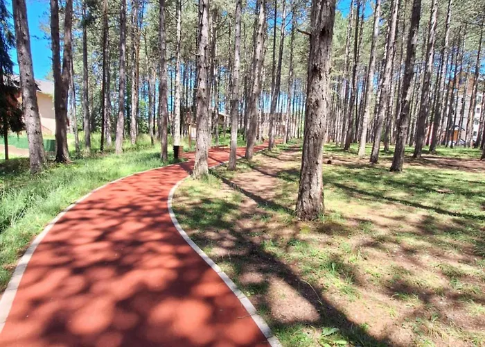 Leo Titova アパート *