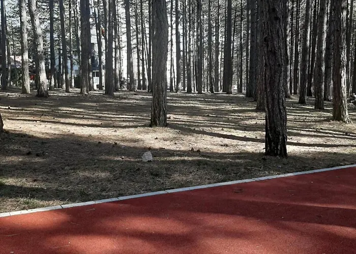 Leo Titova * ズラティボール