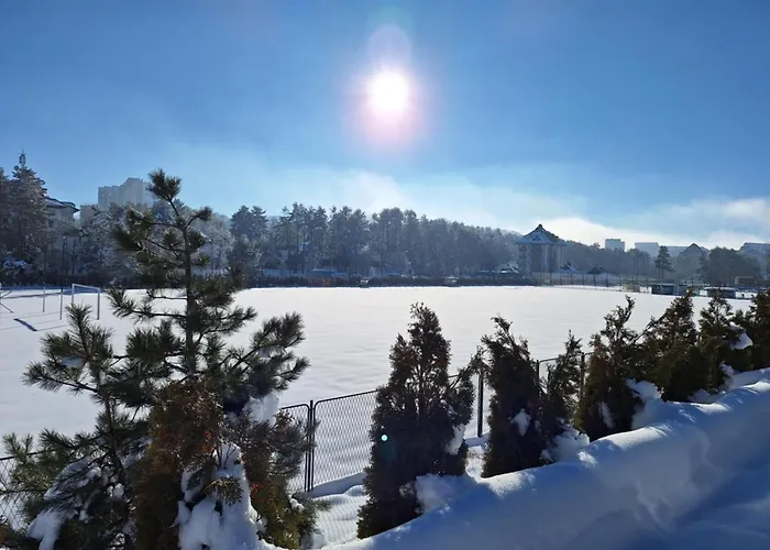 アパート Leo Titova ズラティボール