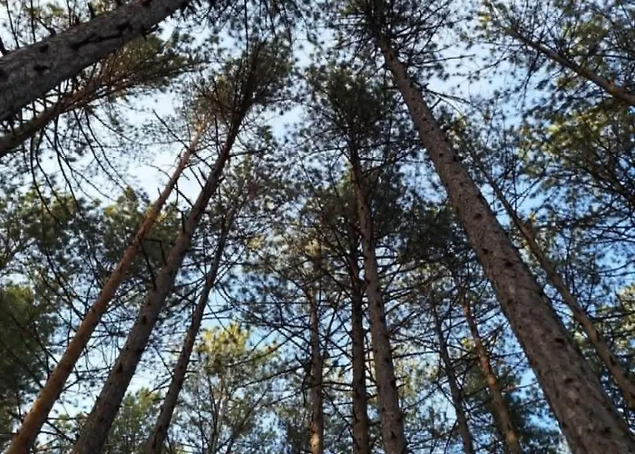 Leo Titova アパート *