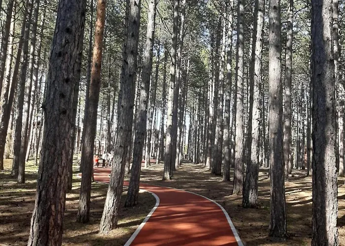 Leo Titova ズラティボール