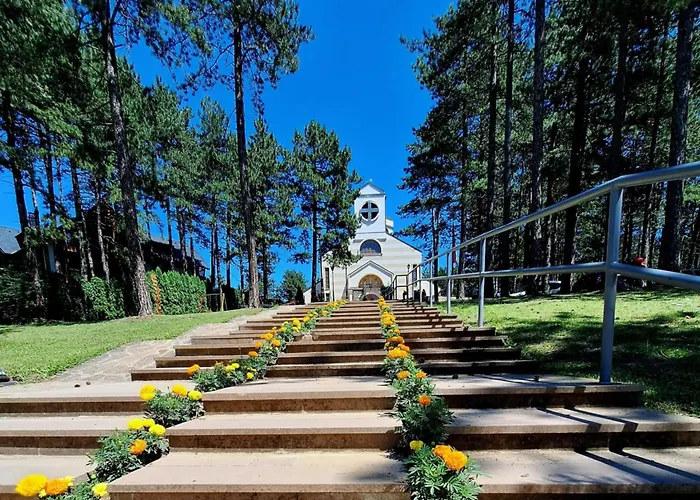 Leo Titova * ズラティボール